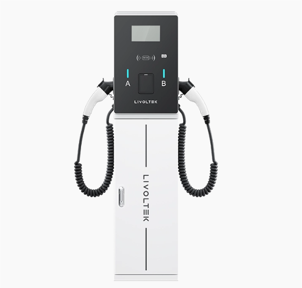 Livoltek Bush Business Charger | SkyBright New Energy